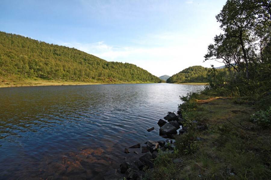 Fiskevatnet
