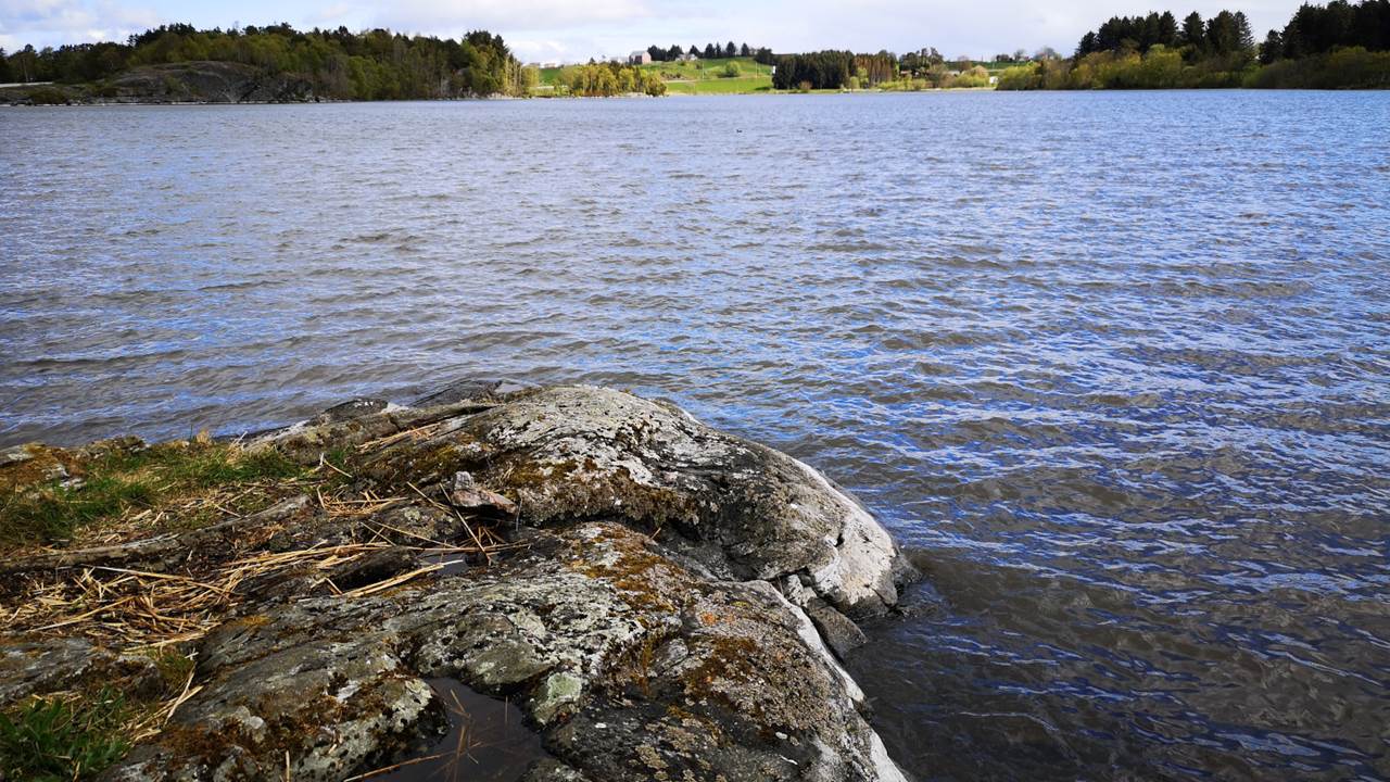 Hålandsvatnet