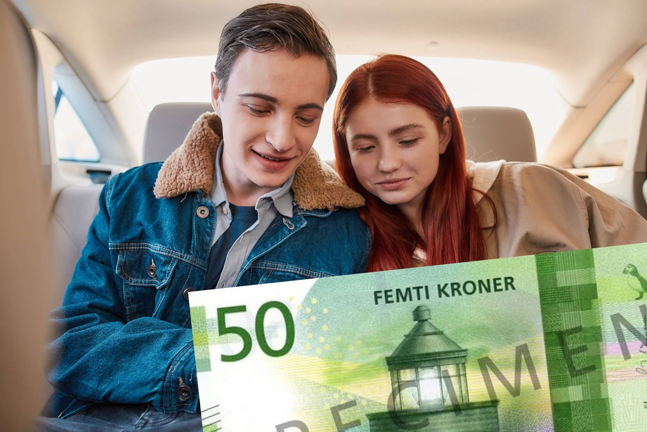 Heim for ein femtilapp - Vinje kommune
