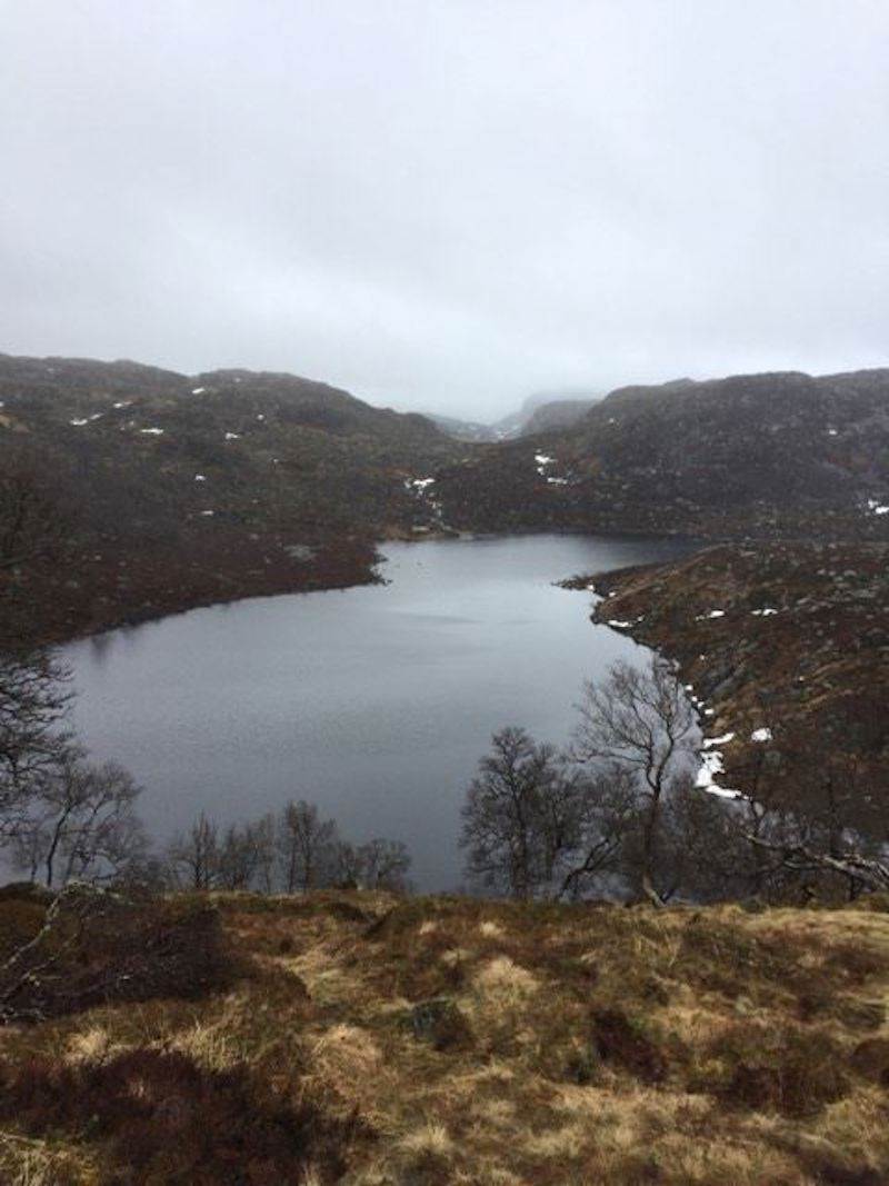 Oksevadtjørna