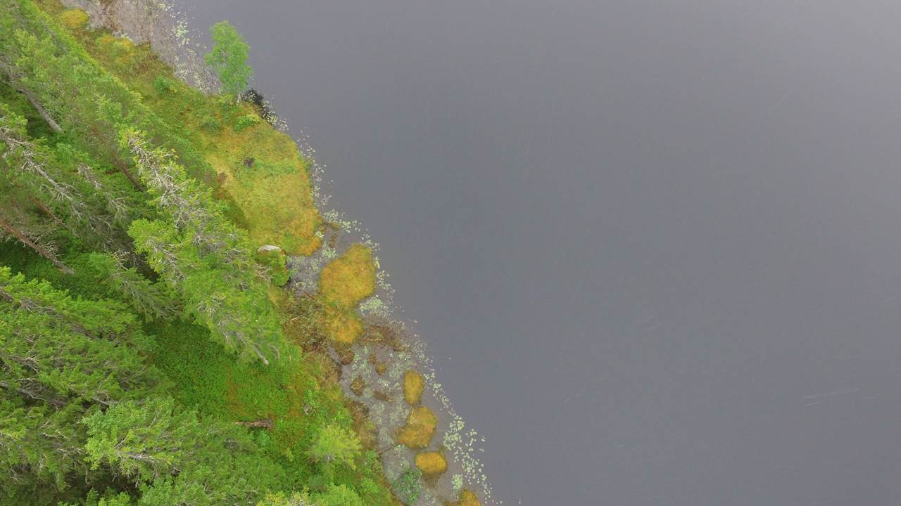 Blukkutjønna