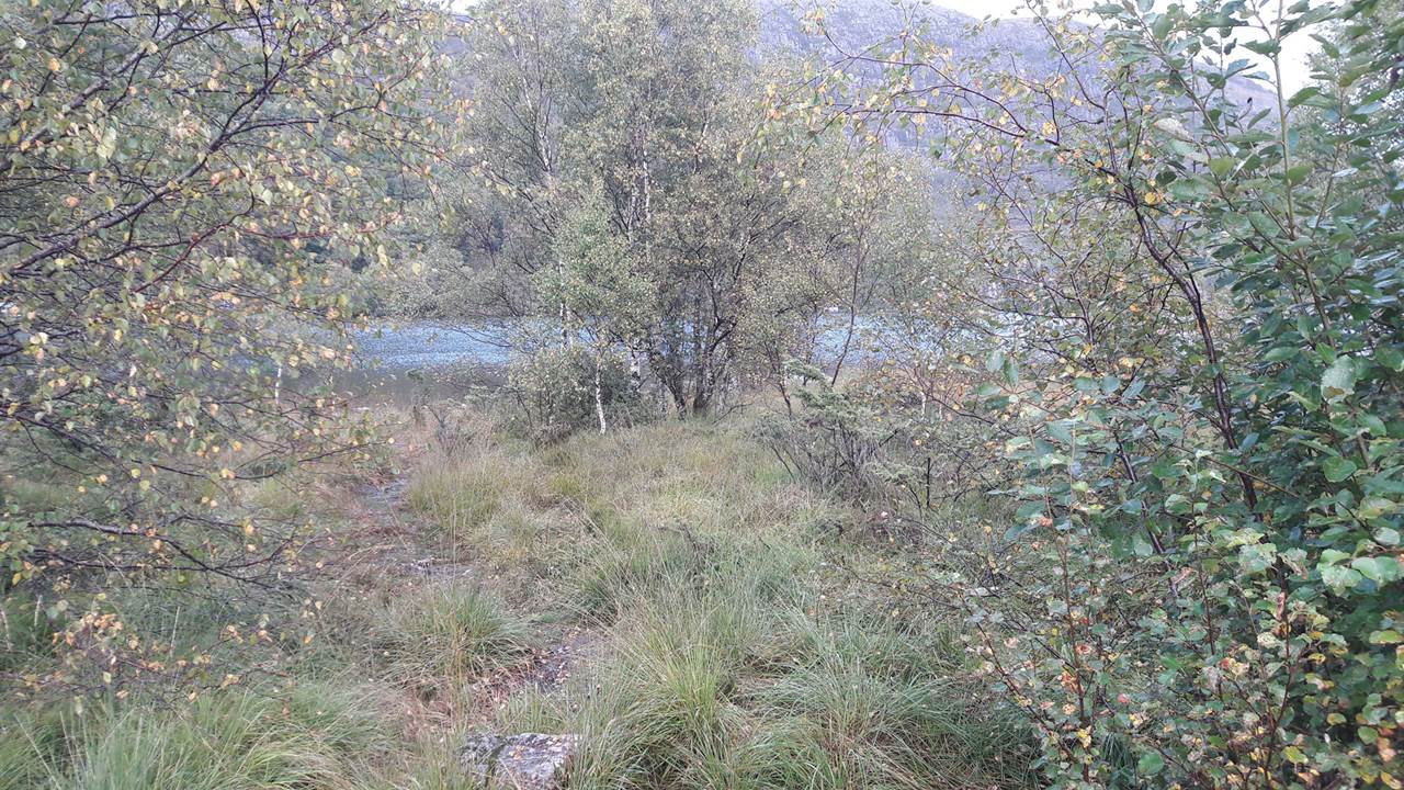 Tengesdalsvatnet