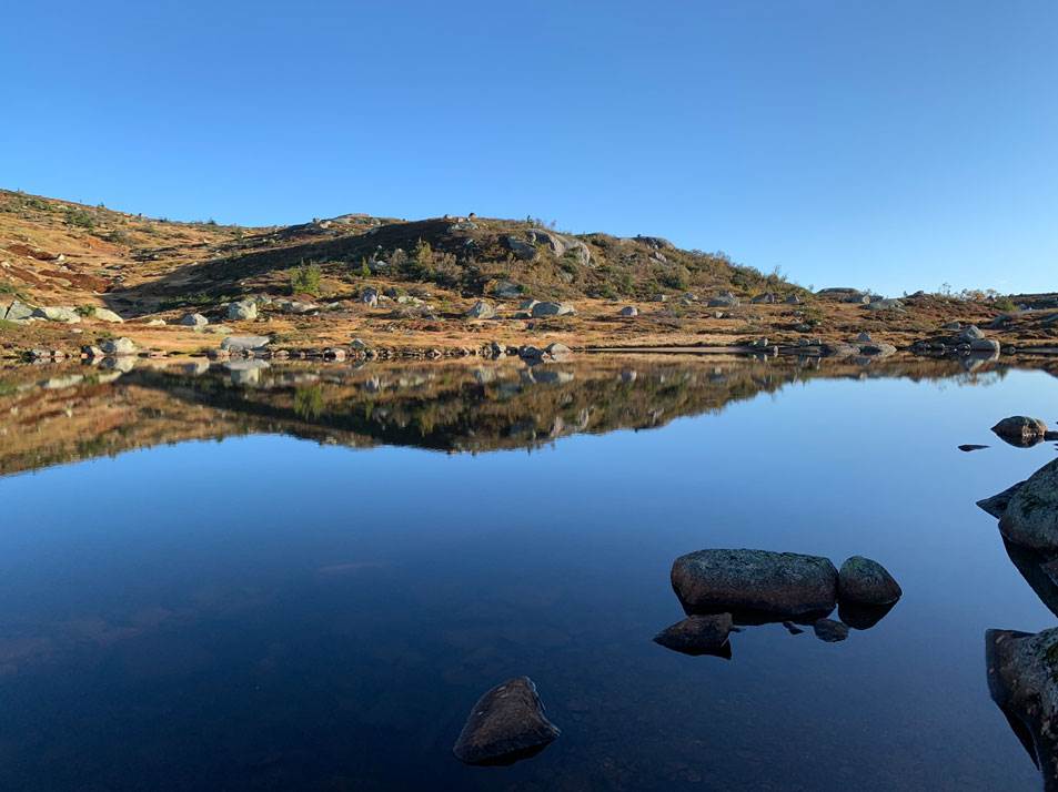 Heddervatnet