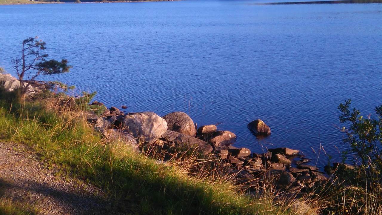 Mosvatnet