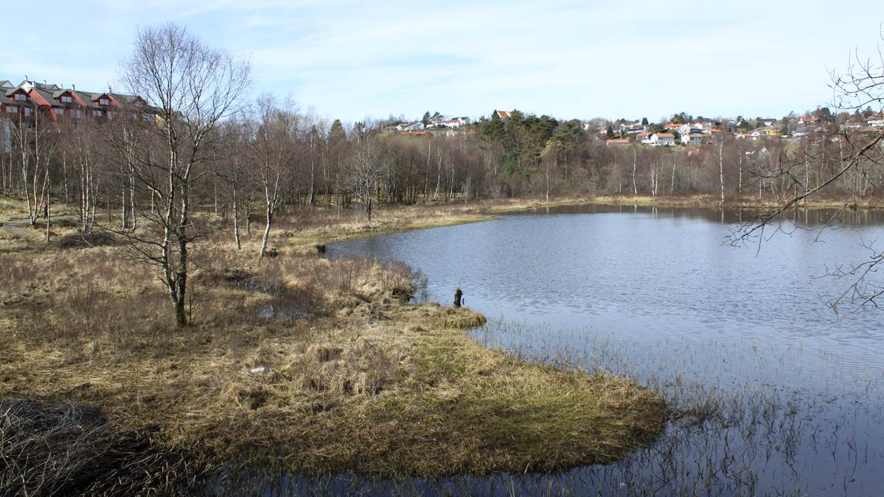 Birkelandsvatnet i Nesttunvassdraget