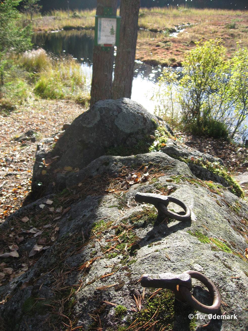 Blåtjernet