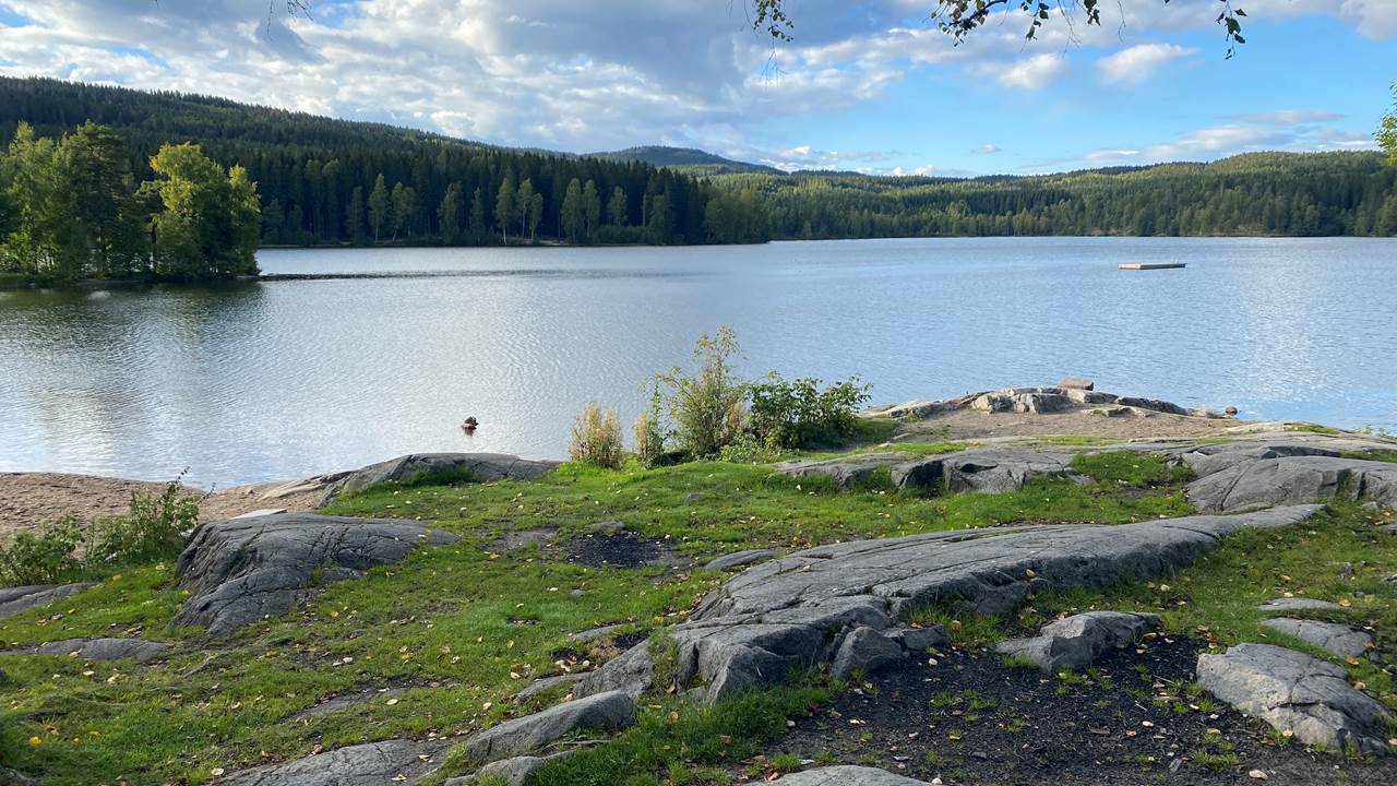 Sognsvann
