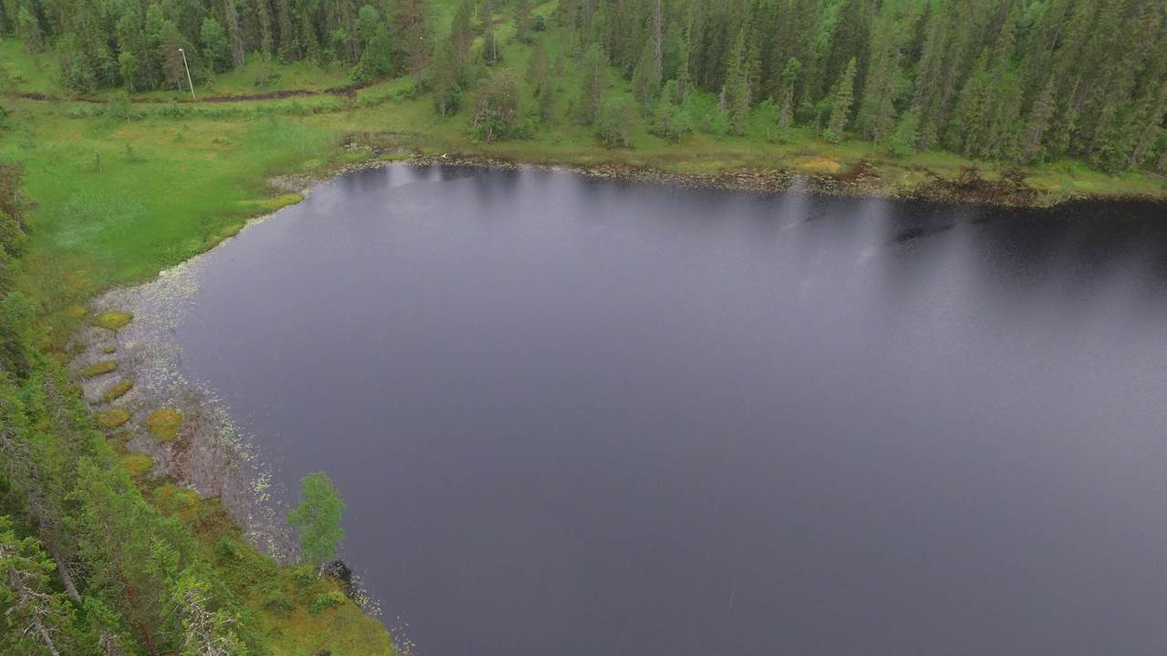 Blukkutjønna