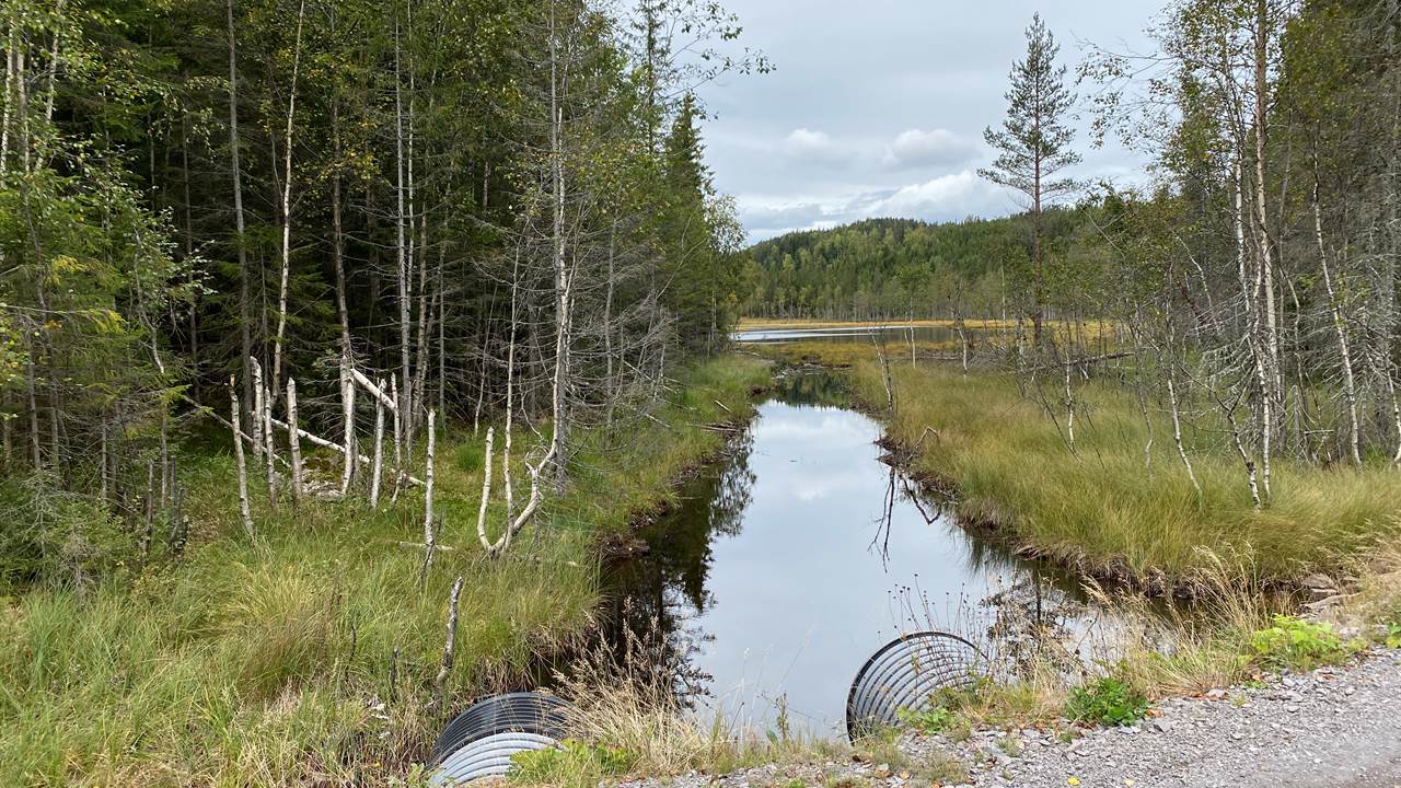 Nordre Anderstjernet