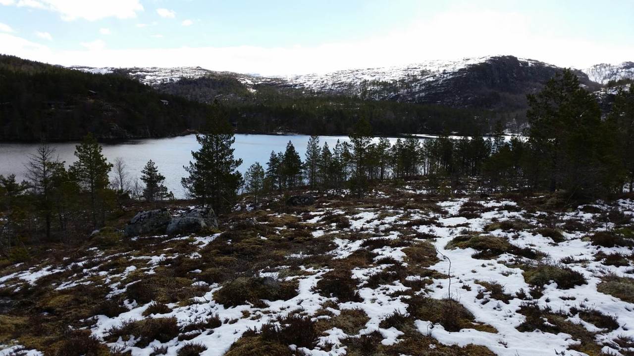 Liarstølvatnet