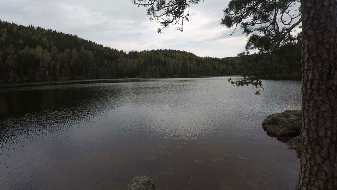 Røyrivannet