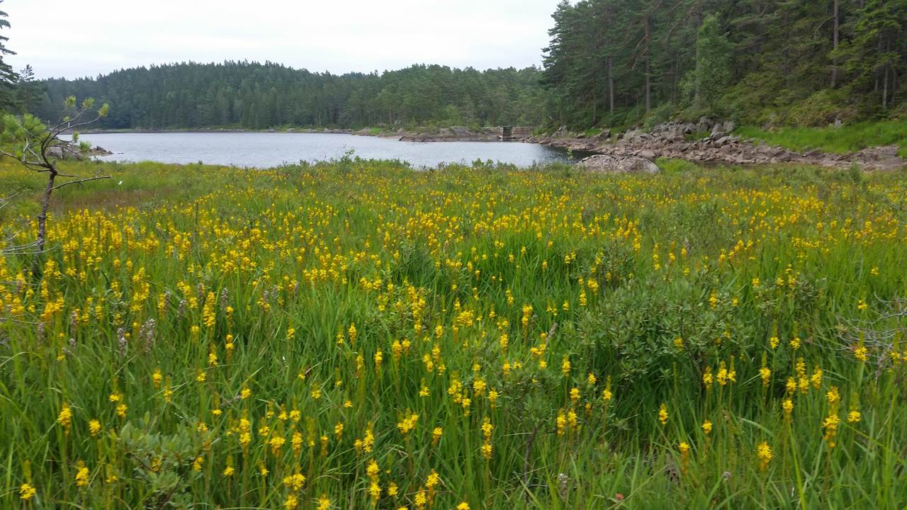 Litle Eftevannet