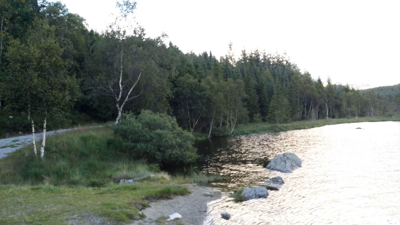 Store Foretjørna