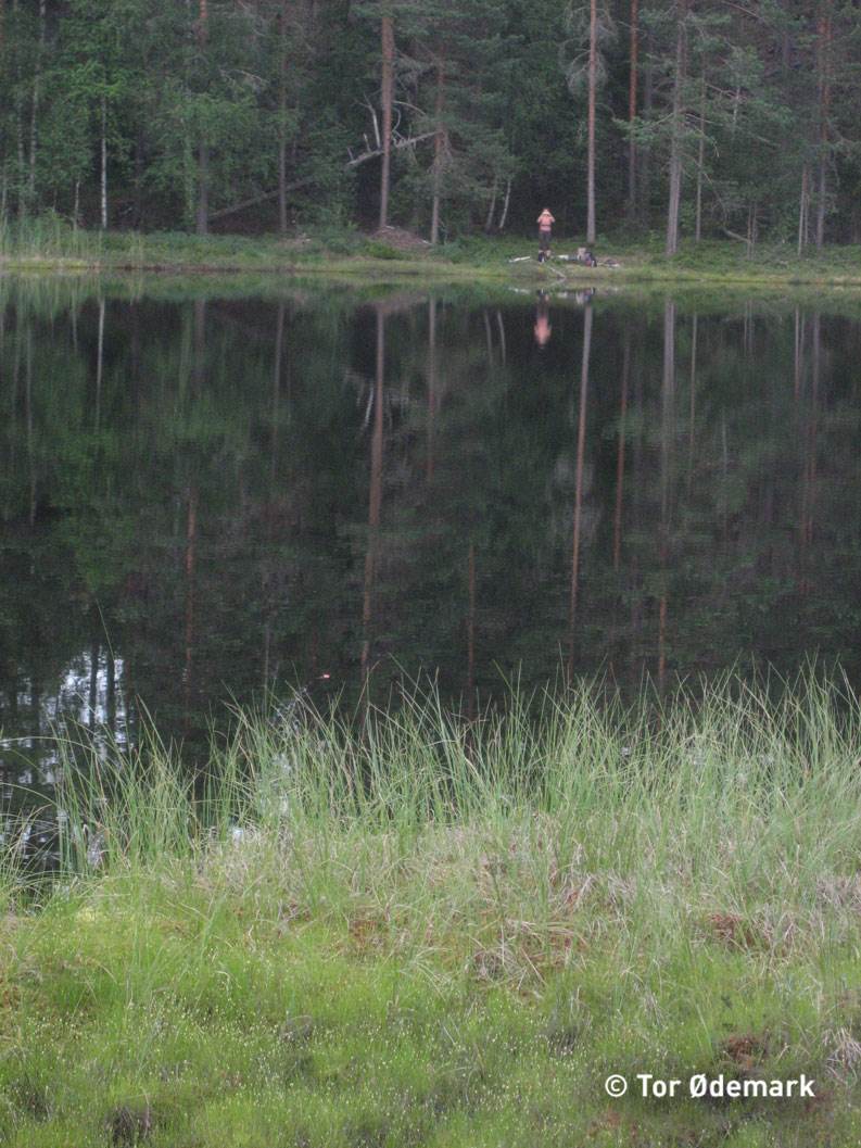 Abbortjern