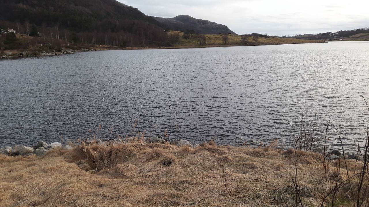 Frøylandsvatnet