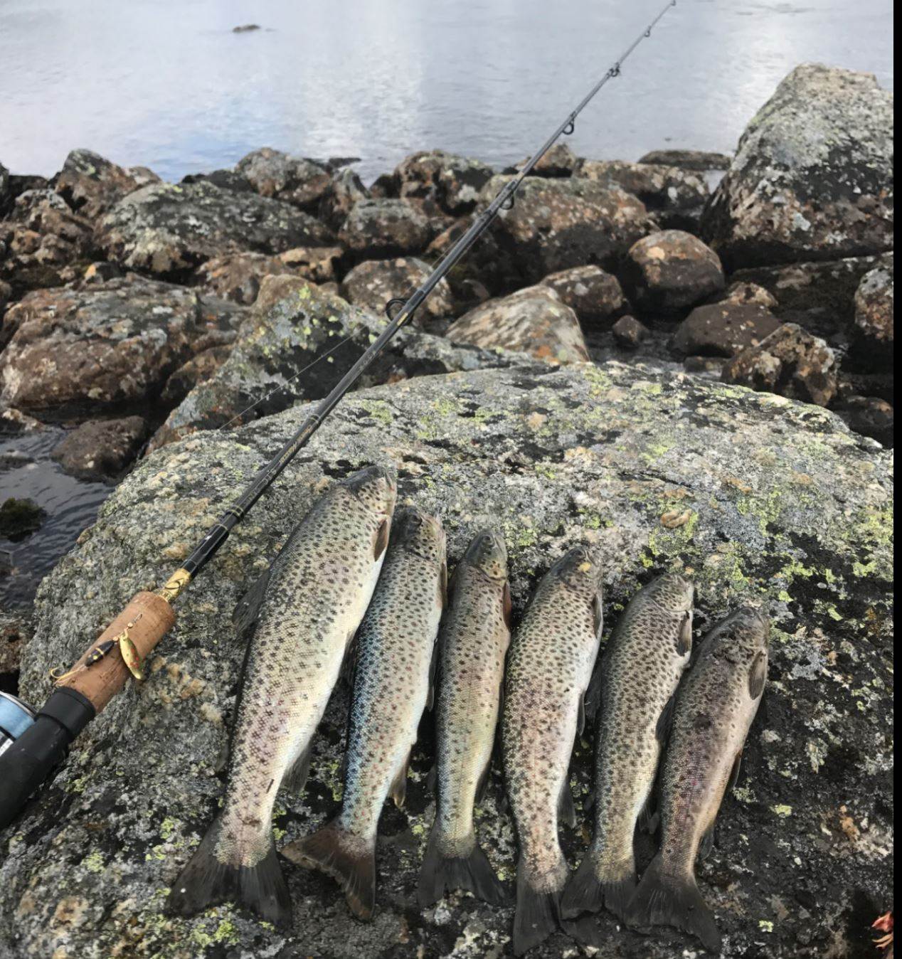 Olsenhølen/Bremafoten- Hardangervidda