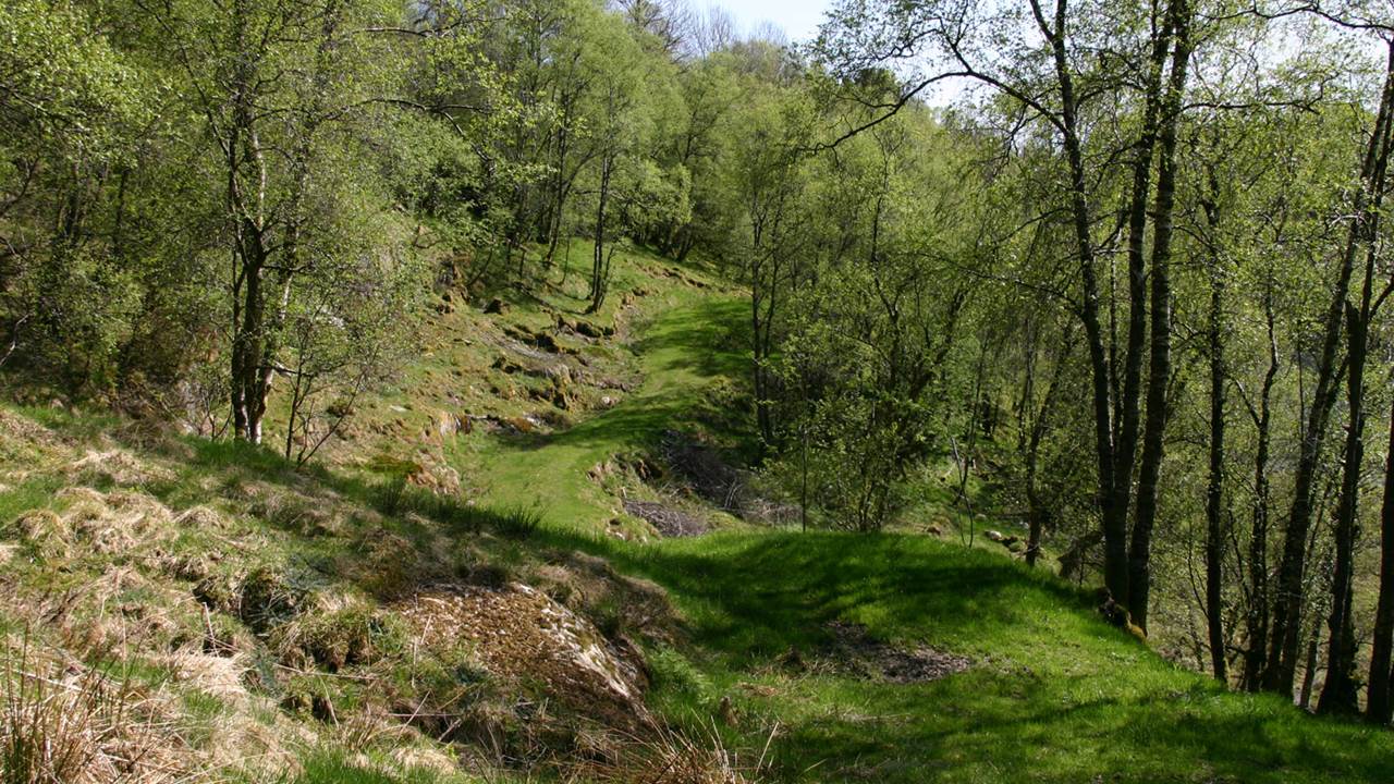 Bogstadtjørna