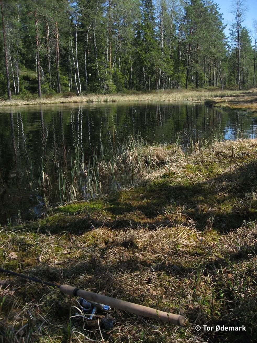 Steinsjøen