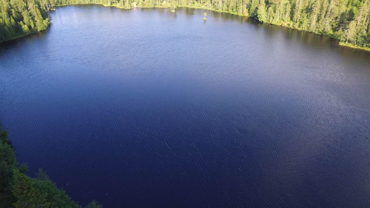 Stortjønna