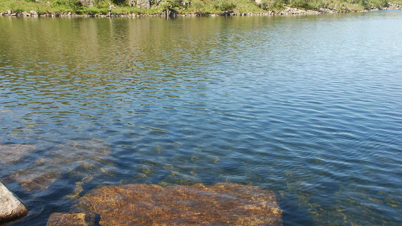 Auratjørna - Sone Sandnes kommune