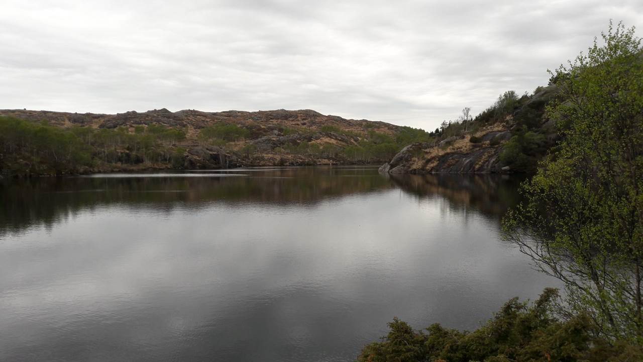 Bogstadtjørna