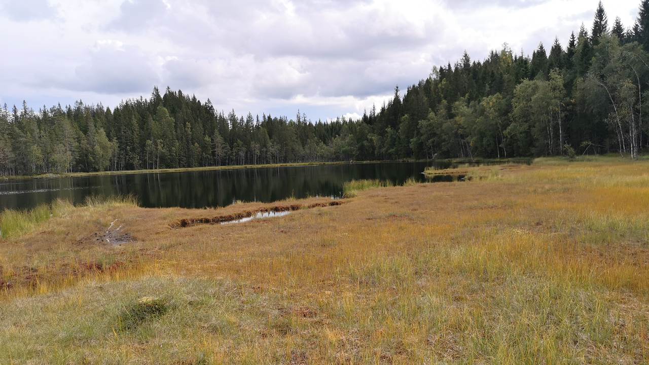 Nordvannet
