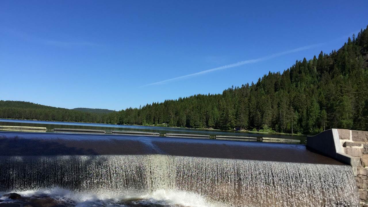Øyungen