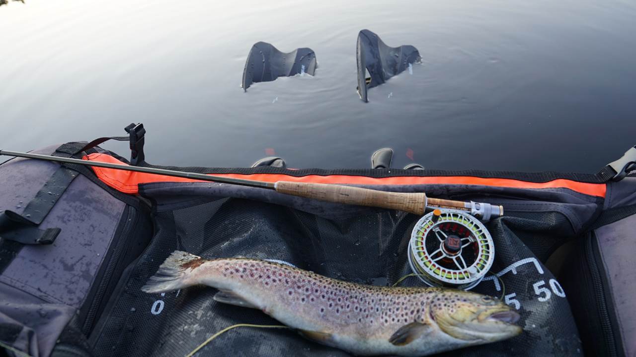 Belly boat med fluestang og ørret i vannet