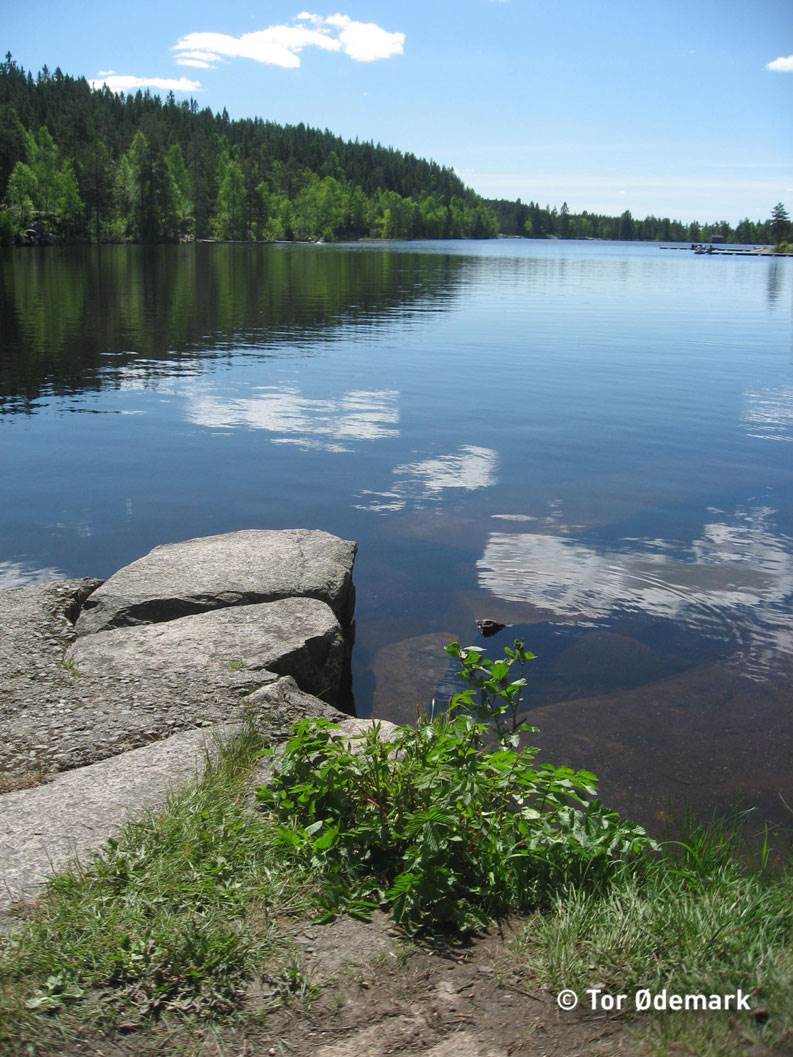 Steinbruvannet