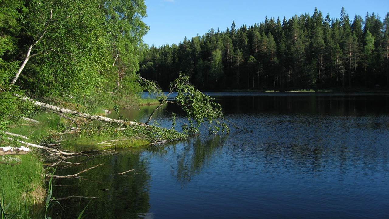 Tretjerna søndre