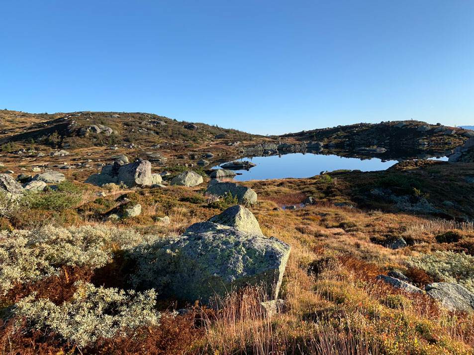 Heddervatnet