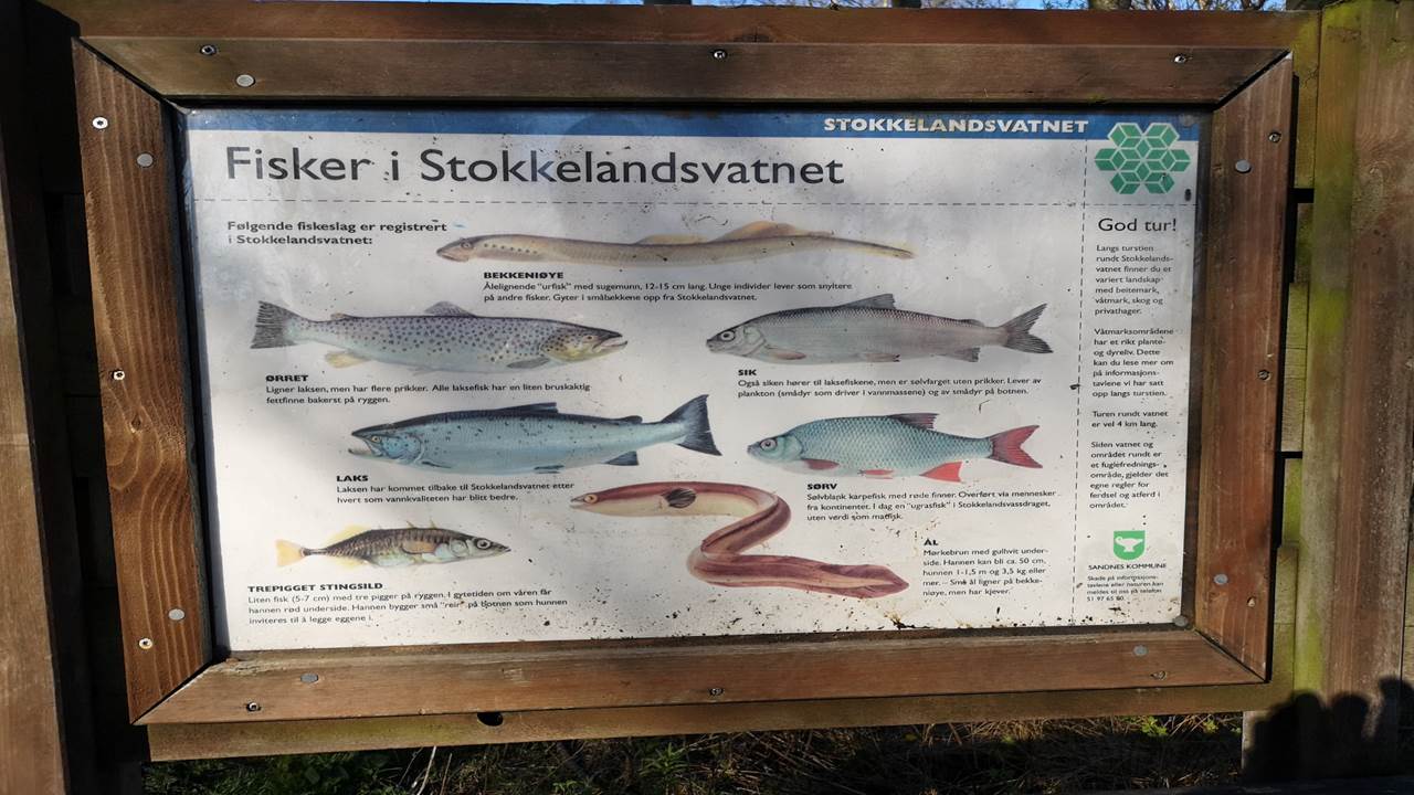 Stokkelandsvatnet