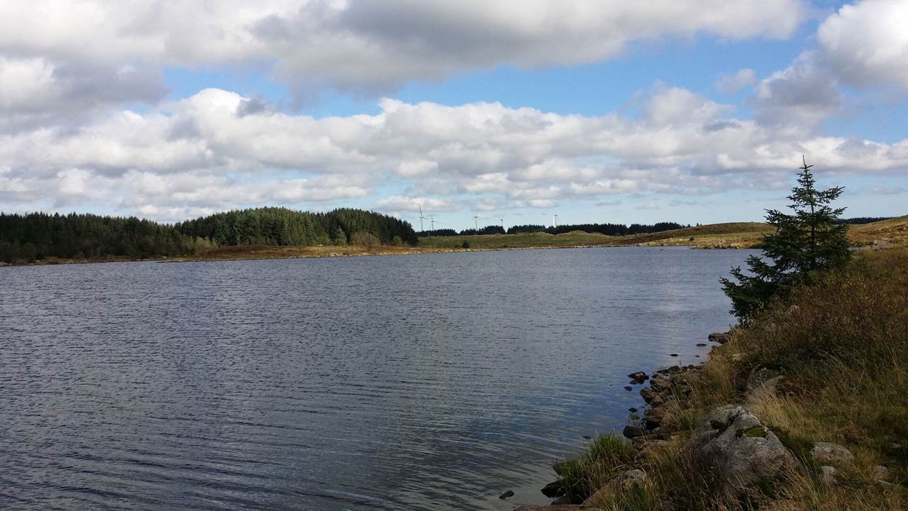 Holmavatnet - Rv 504