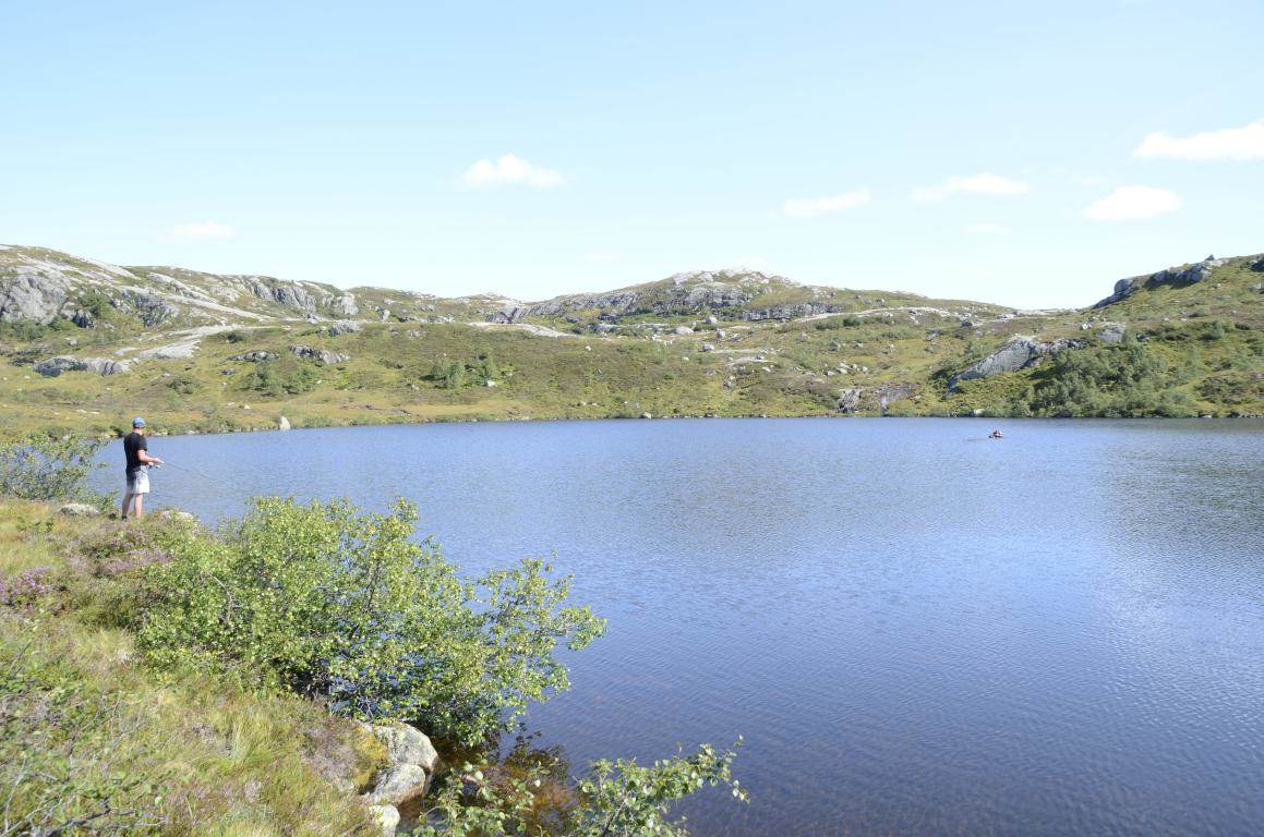 Navnløst vann / Rogaland