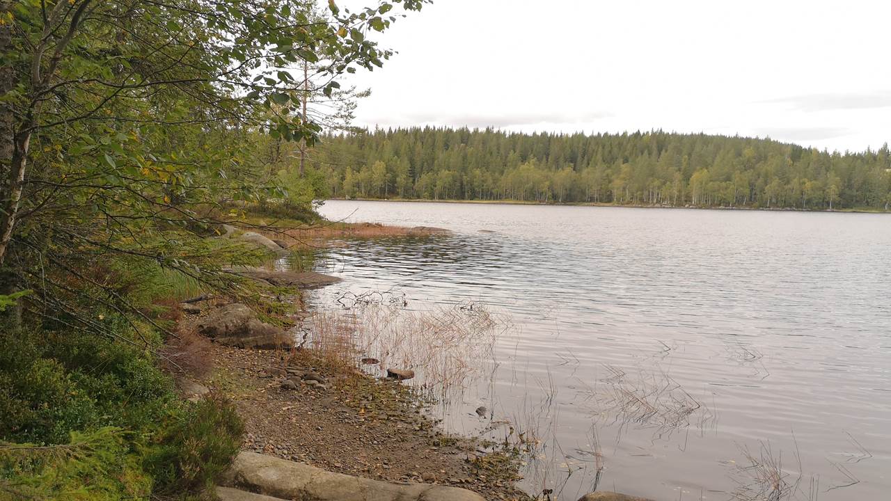Trehørningen