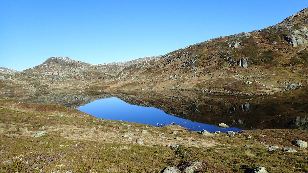 Vestre Skjerevatn