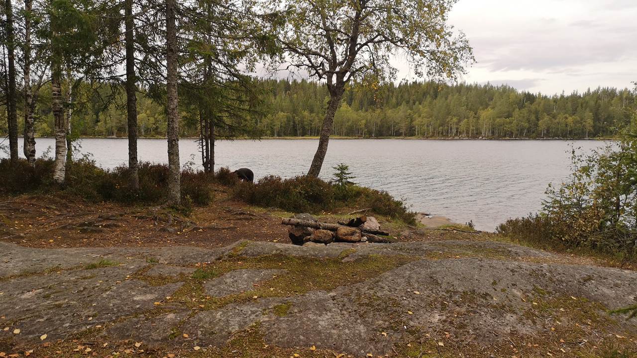 Trehørningen