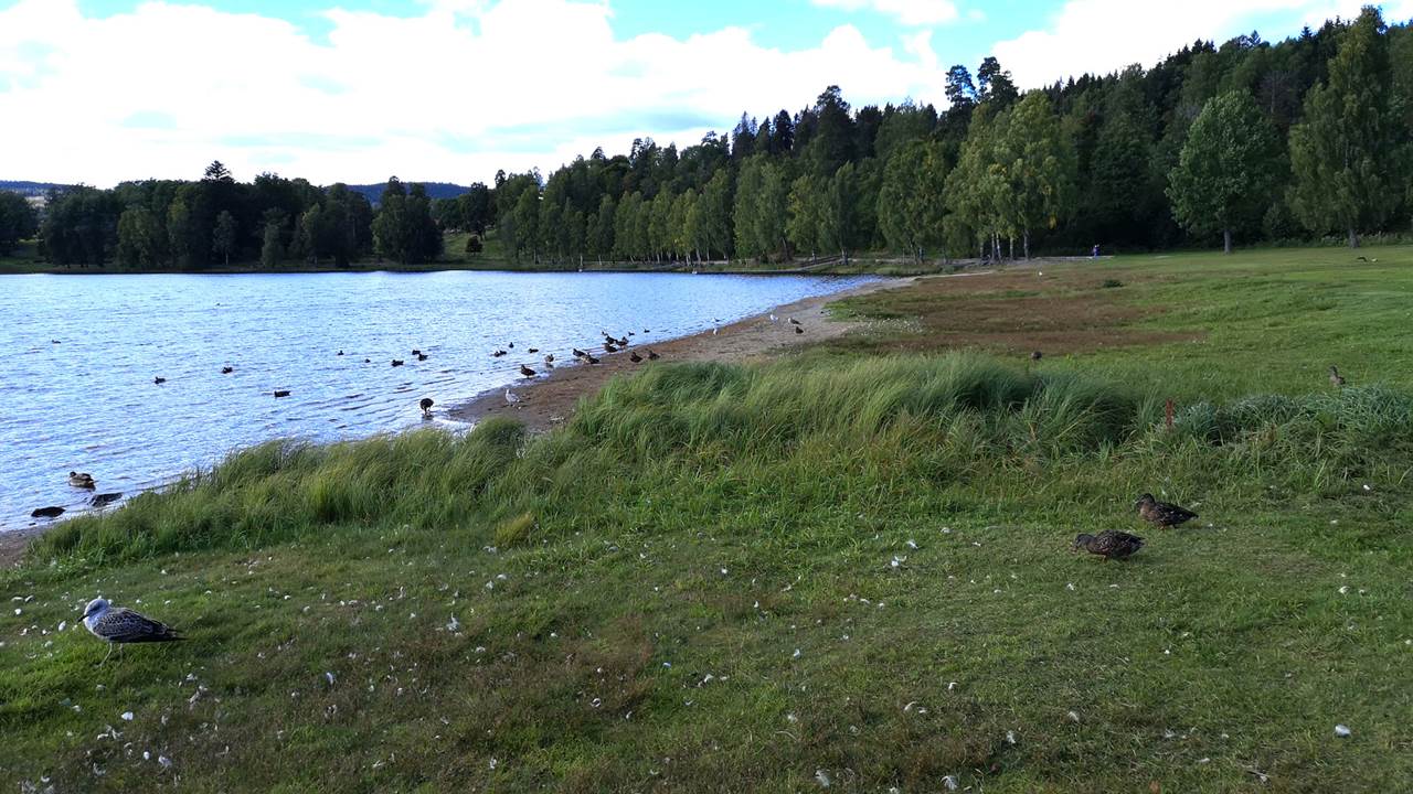 Bogstadvannet