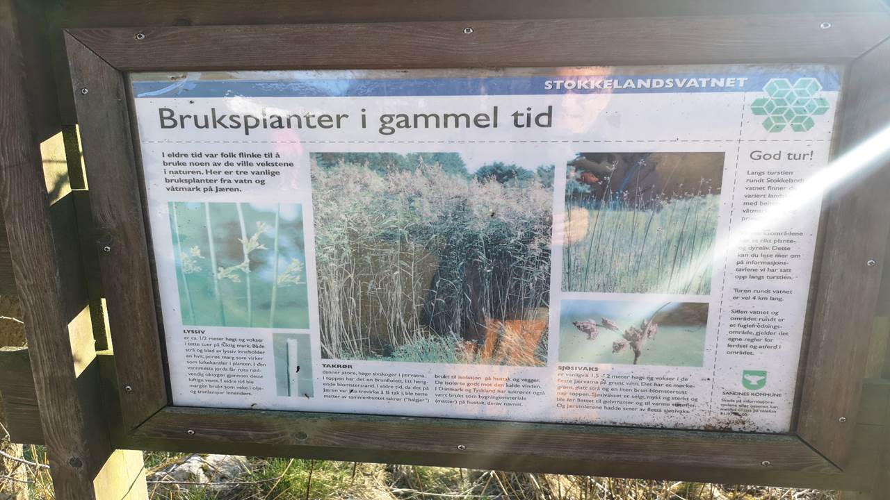 Stokkelandsvatnet