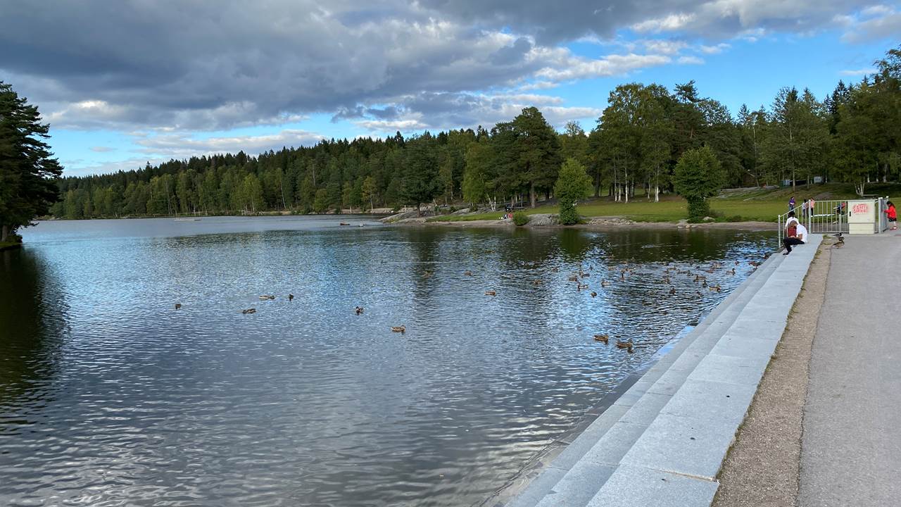 Sognsvann