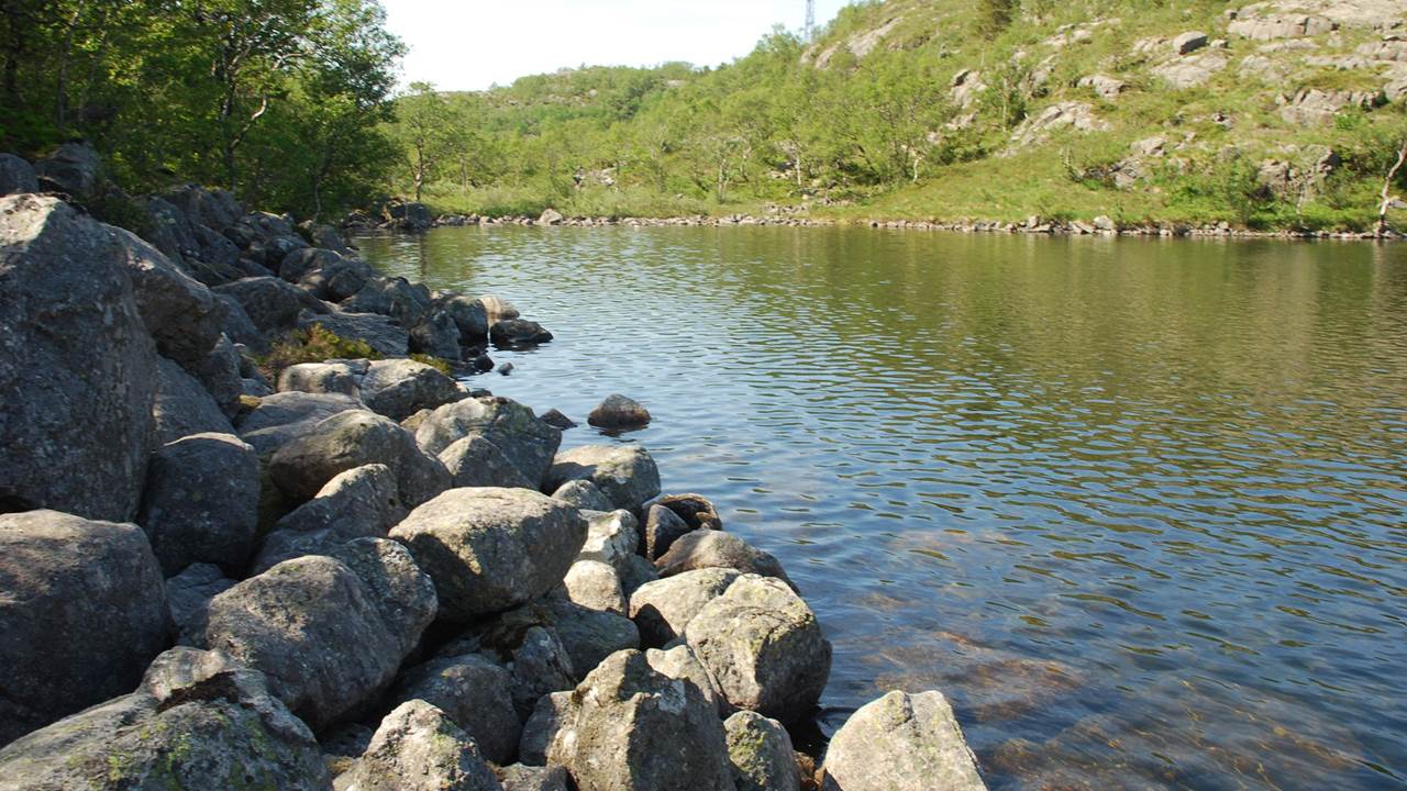 Auratjørna - Sone Sandnes kommune
