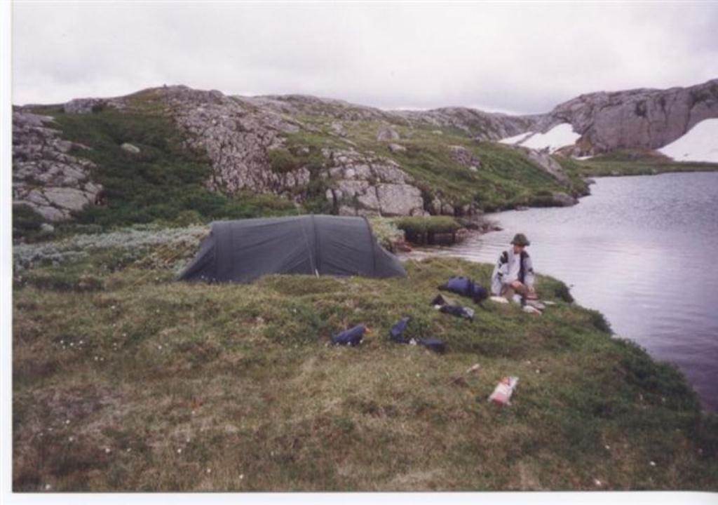 1999 - Gullfluen ble til.