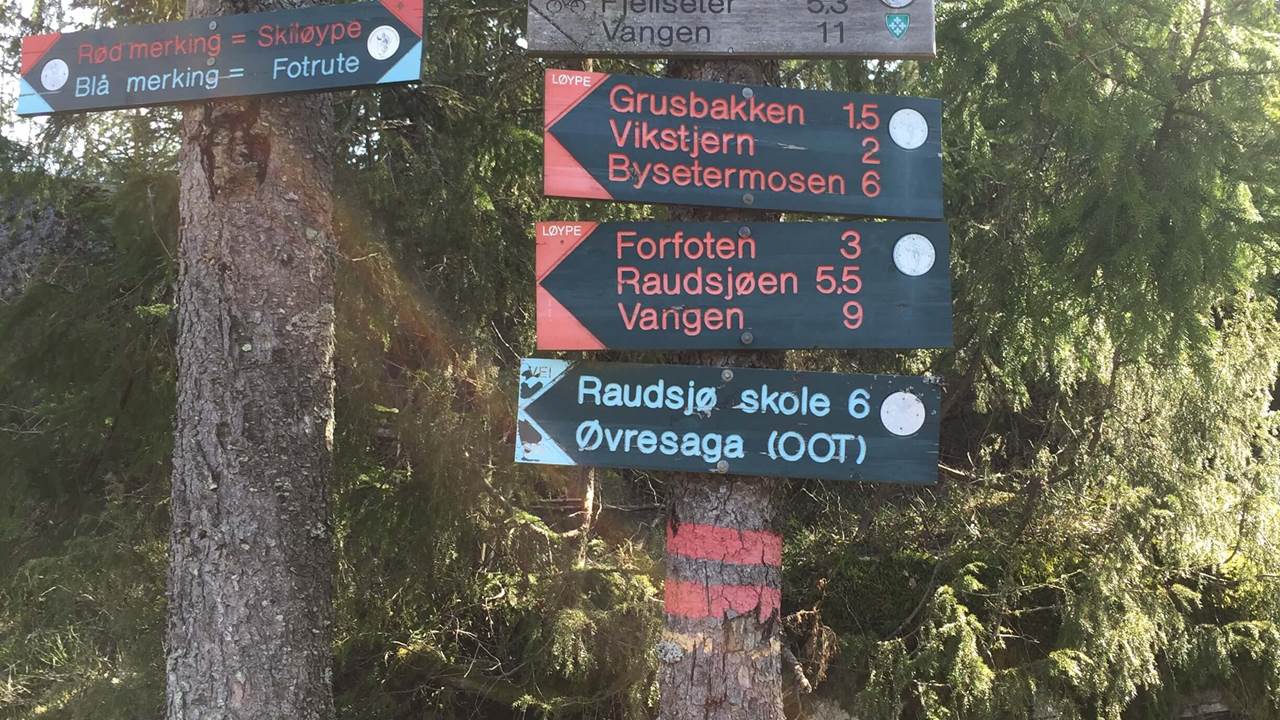 Forfoten