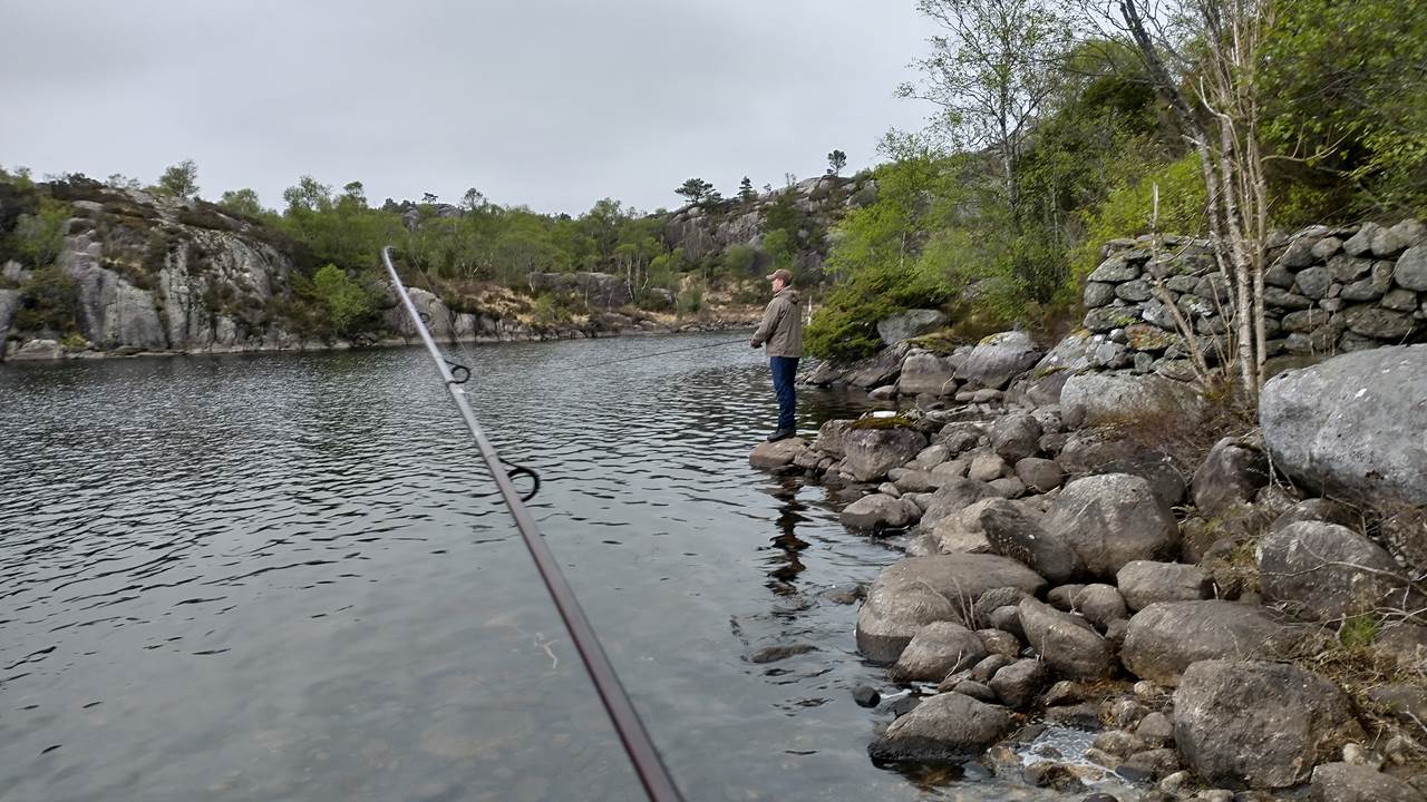 Vigdarvatnet