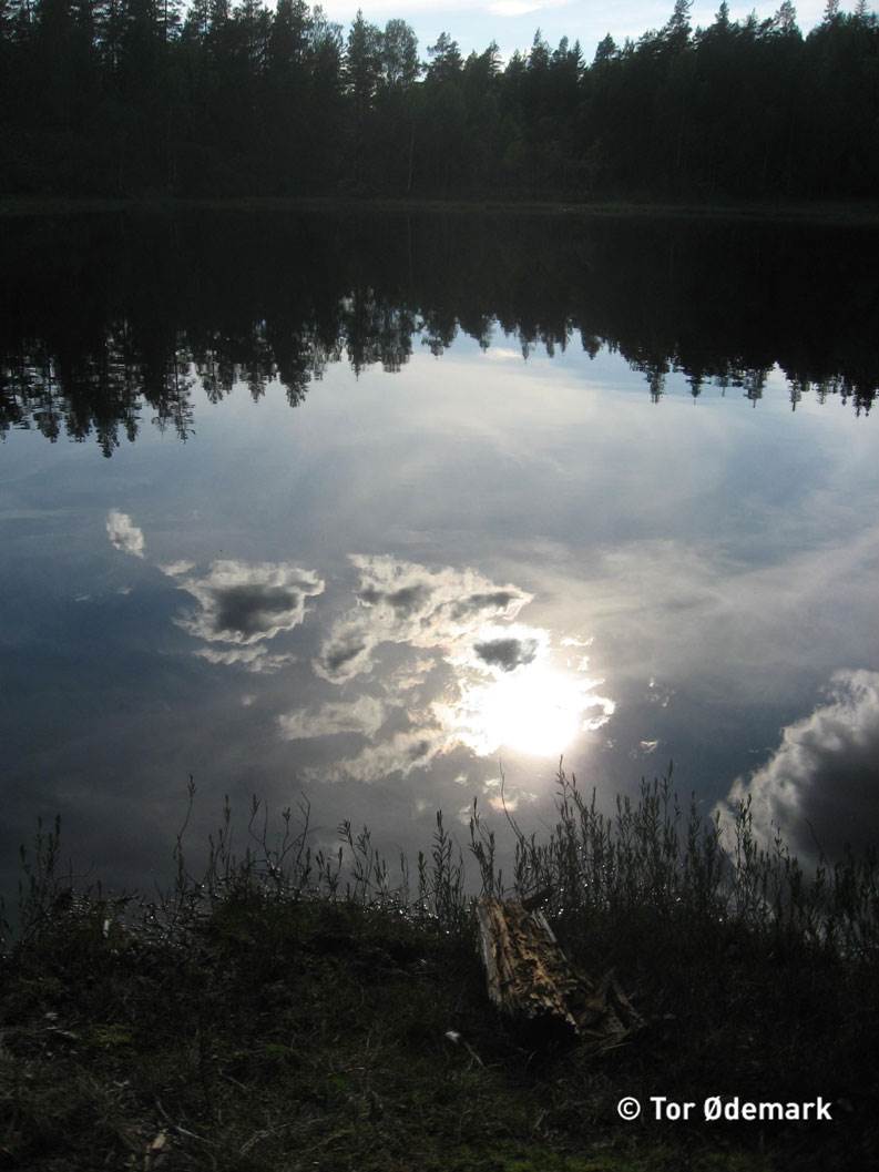 Abbortjern