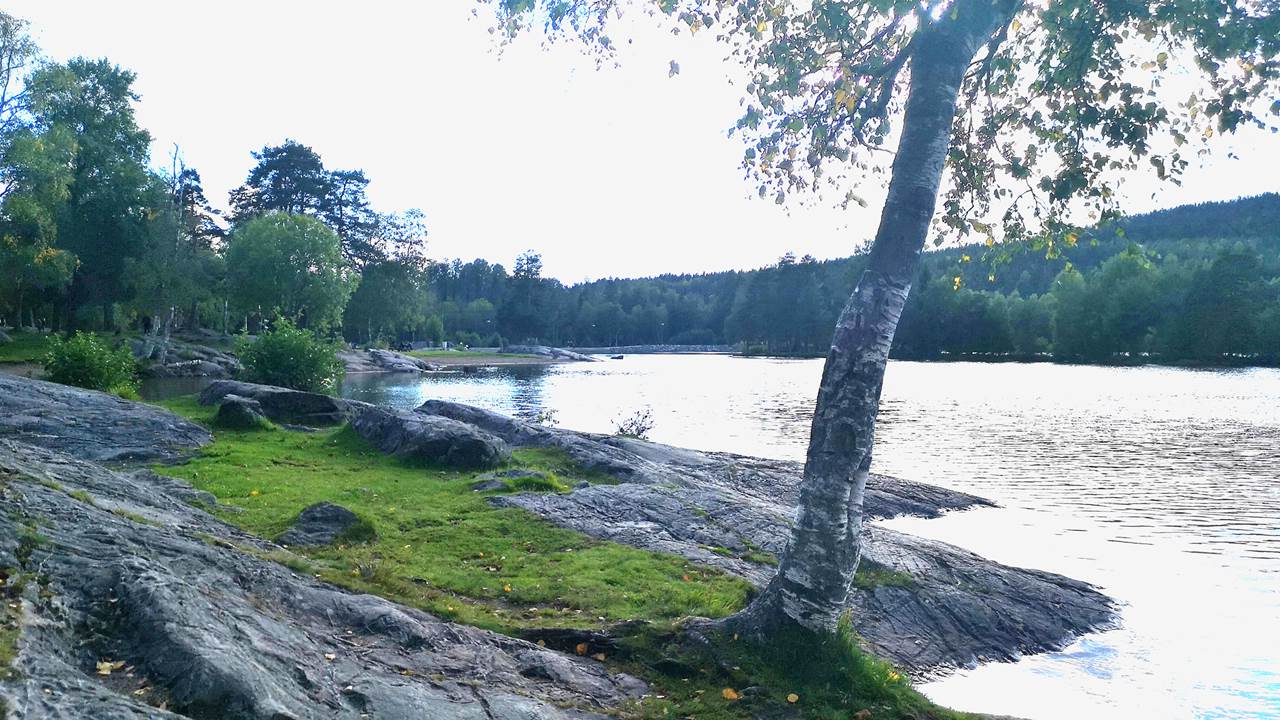 Sognsvann