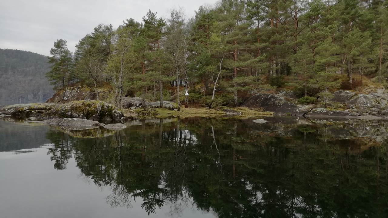 Skogseidvatnet