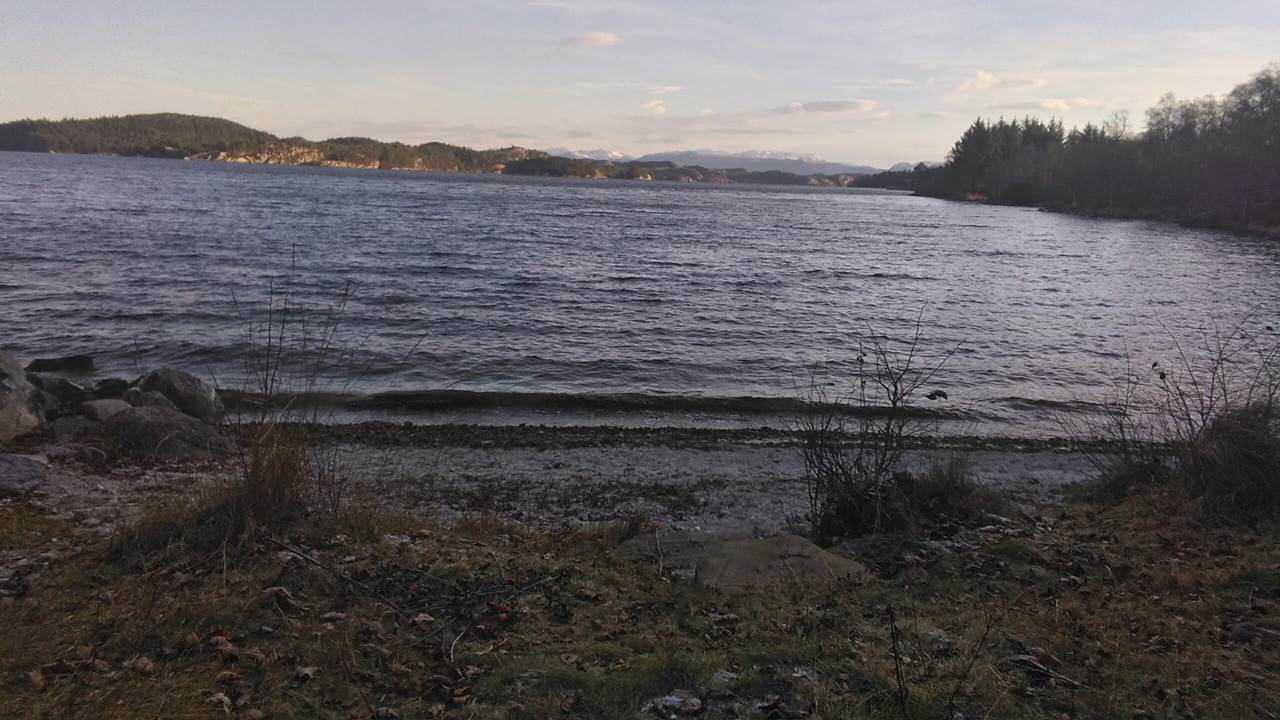 Vigdarvatnet