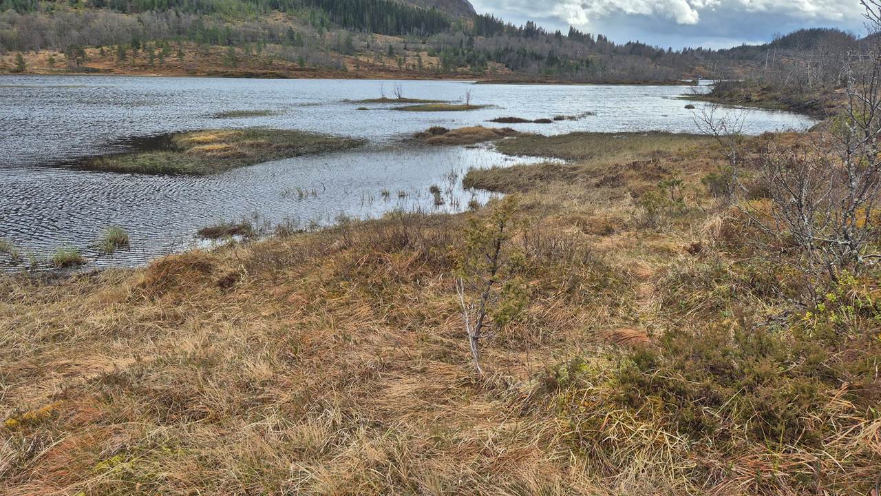 Nysætervatnet