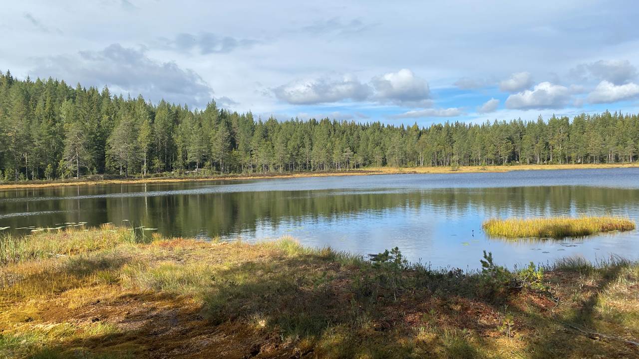 Nedre Øyvann